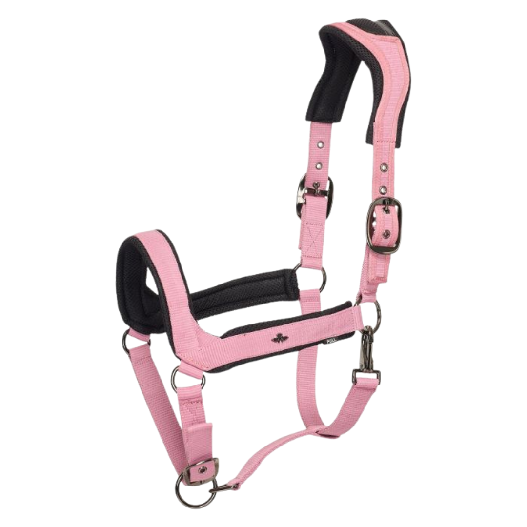 HV. POLO Headcollar HVP Esther