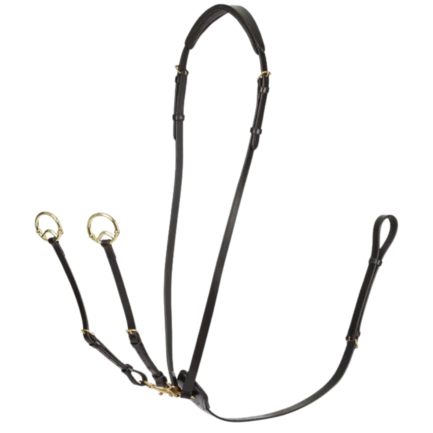 LeMieux Kudos Running Martingale