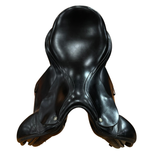 17” AMERIGO DRESSAGE