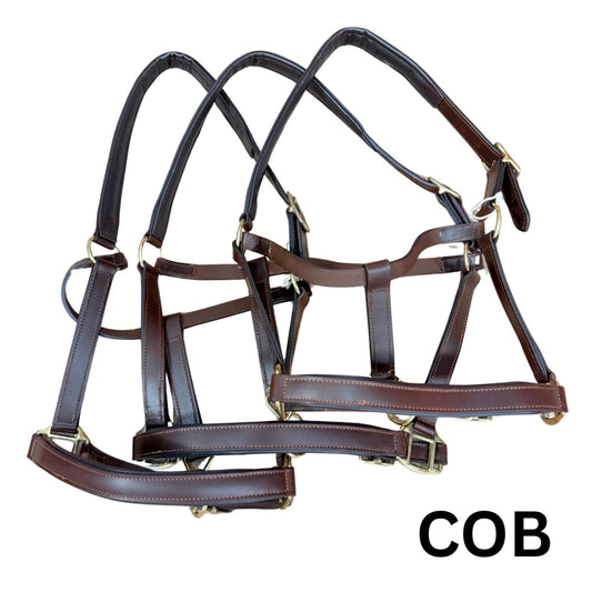 HS#0095 Cob Leather Headcollar Set x3