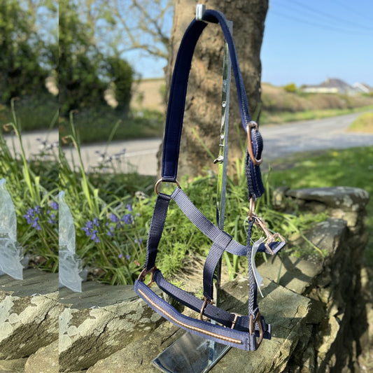 HS#0038 Cob Clincher Head Collar