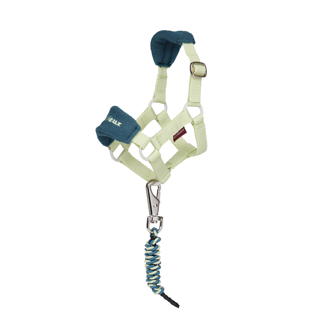 LeMieux Toy Pony Vogue Headcollar & Leadrope