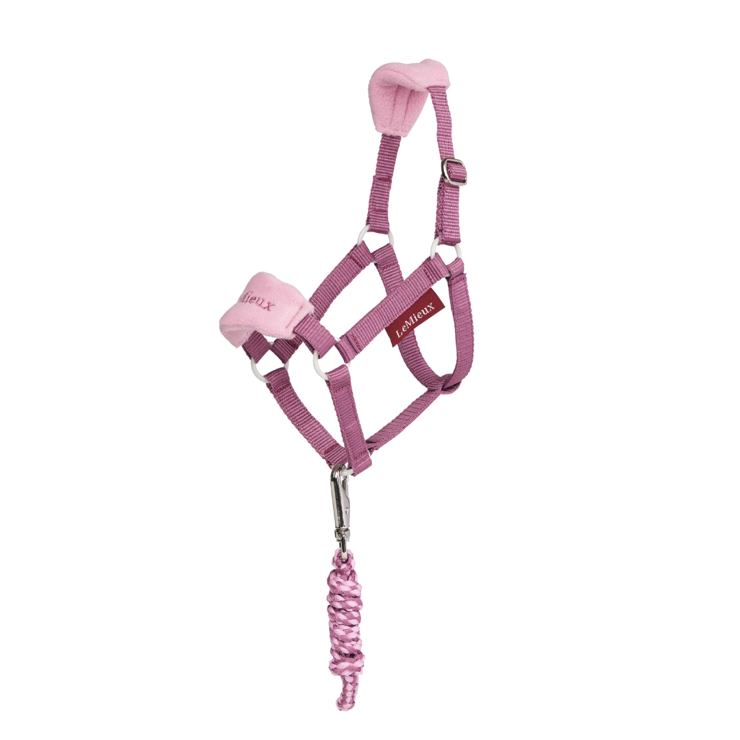 LeMieux Hobby Horse Vogue Headcollar & Leadrope