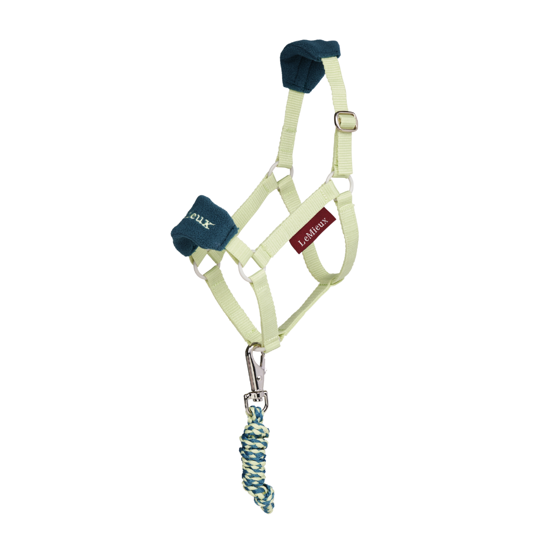 LeMieux Hobby Horse Vogue Headcollar & Leadrope