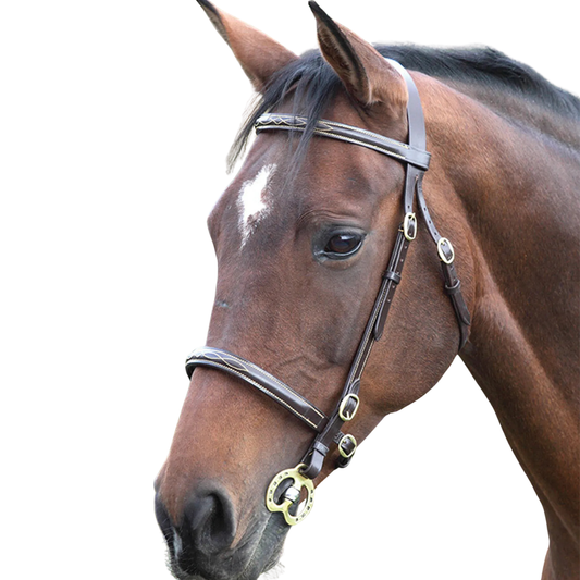 Shires Gara Fancy Stitched Inhand Bridle
