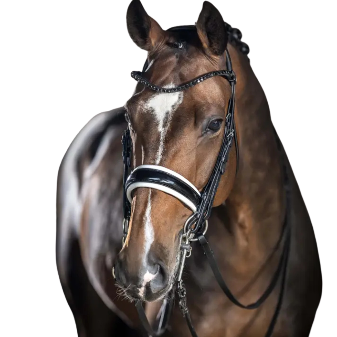 Lemieux Kudos Double Bridle