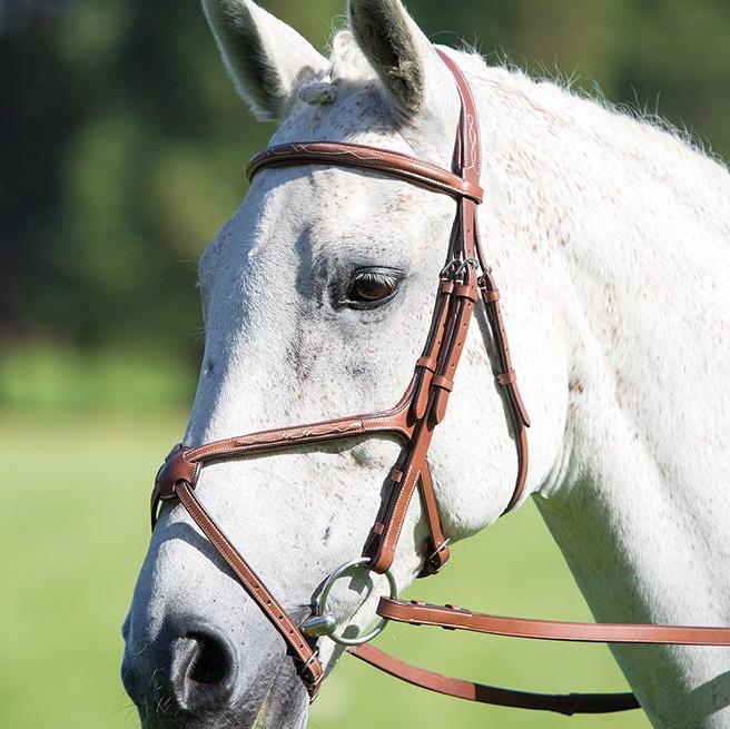 Shires Avignon Grackle Bridle