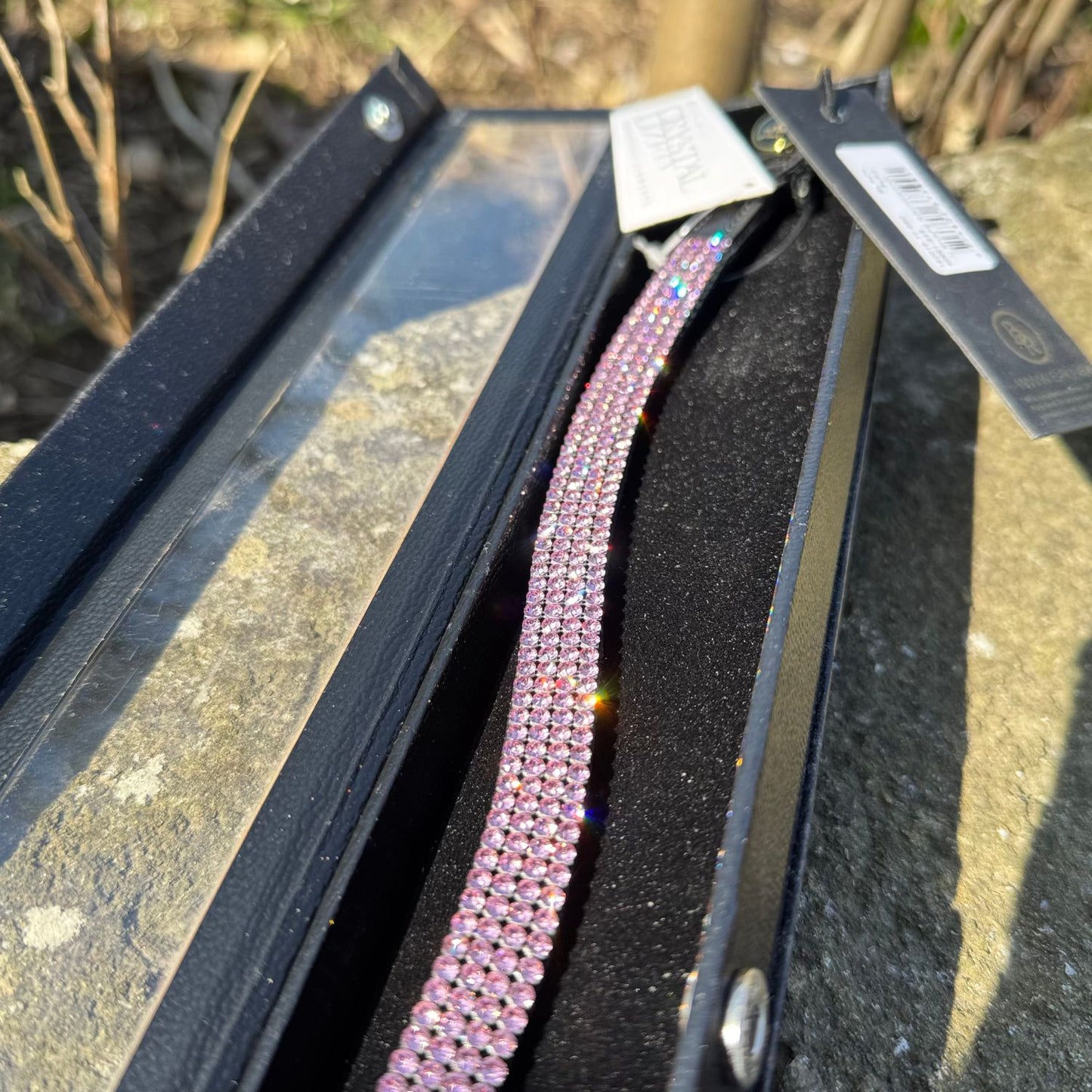 HS#0051 Cob Pink Browband BR Equestrian Swarovski