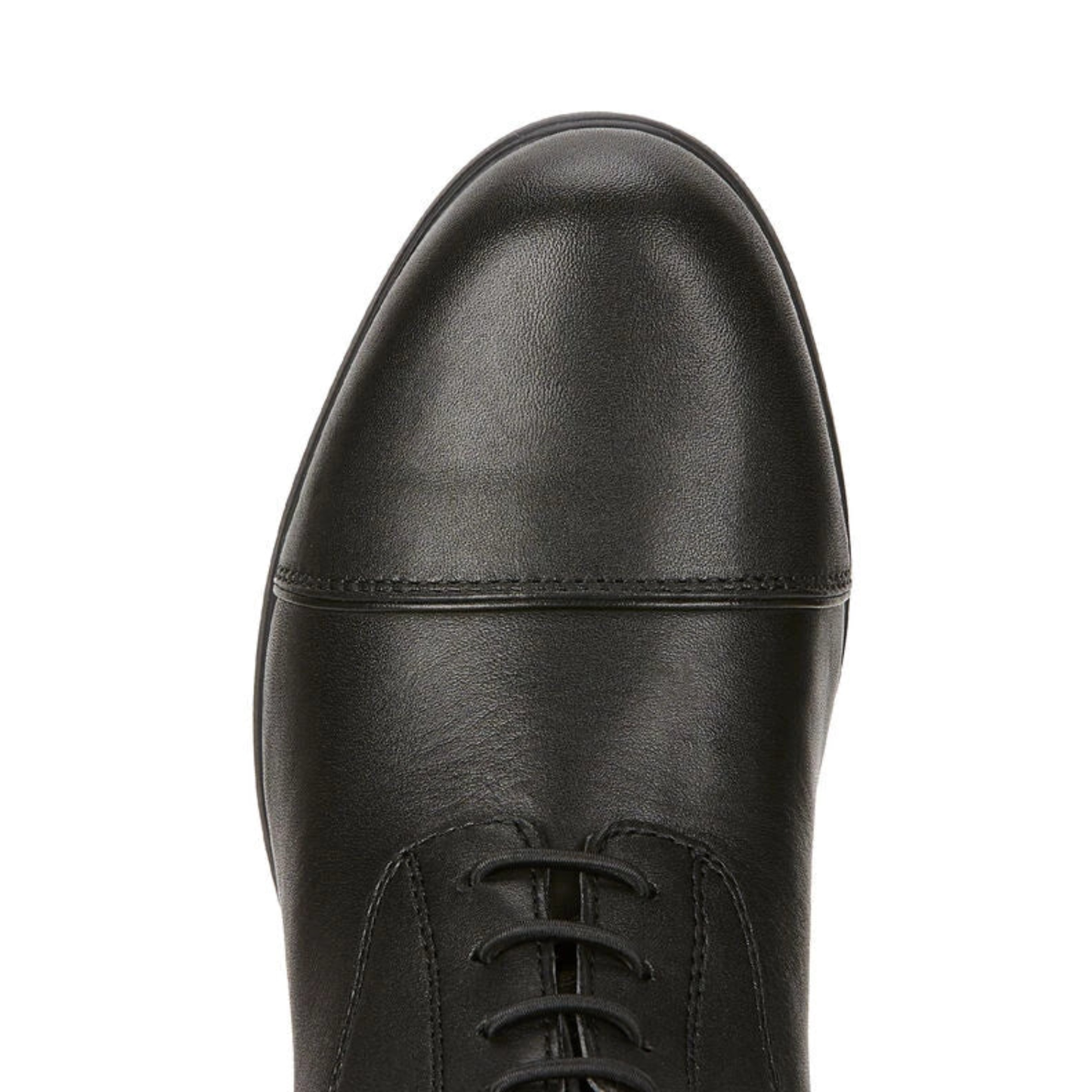 Ariat Youth Bromont Tall H20 Black