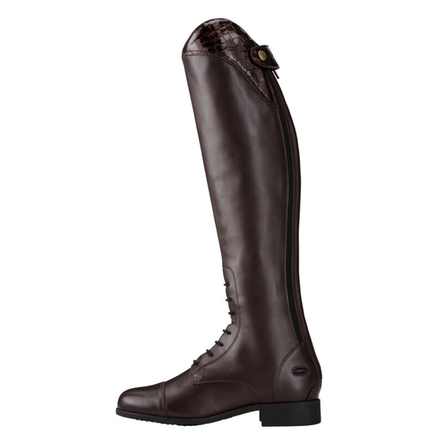 Heritage Ellipse Tall Riding Boot (Regular)