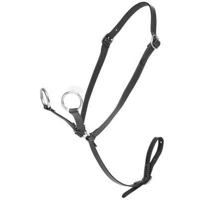 LeMieux Toy Pony Running Martingale