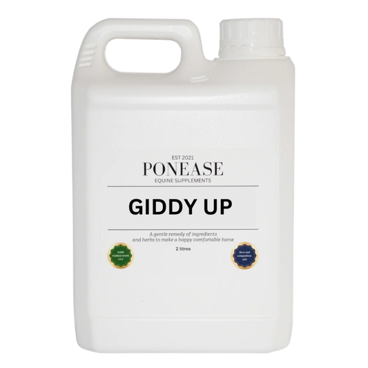 Ponease Giddy Up