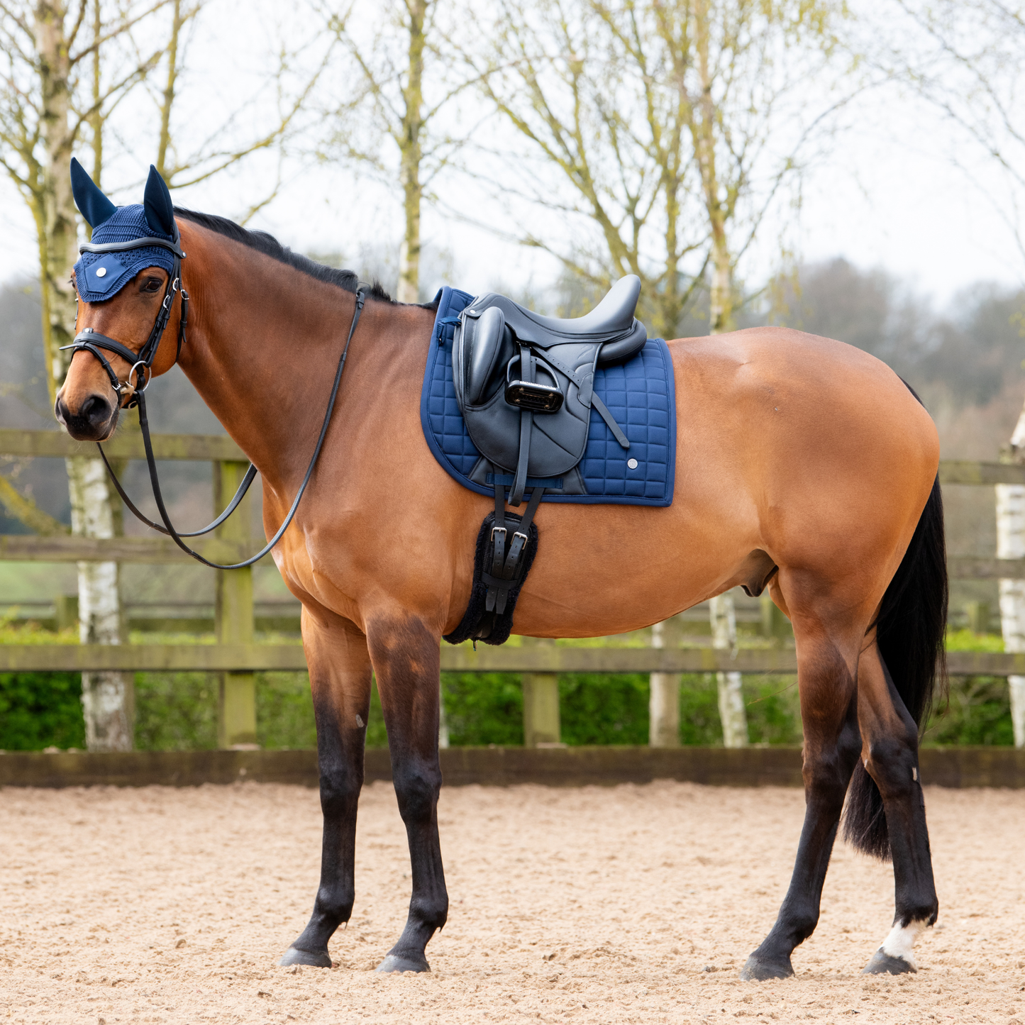Soho Signature Dressage Pad