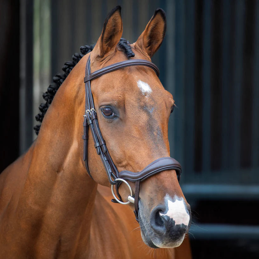 Shires Velociti Lusso Ergonomic Flash Bridle
