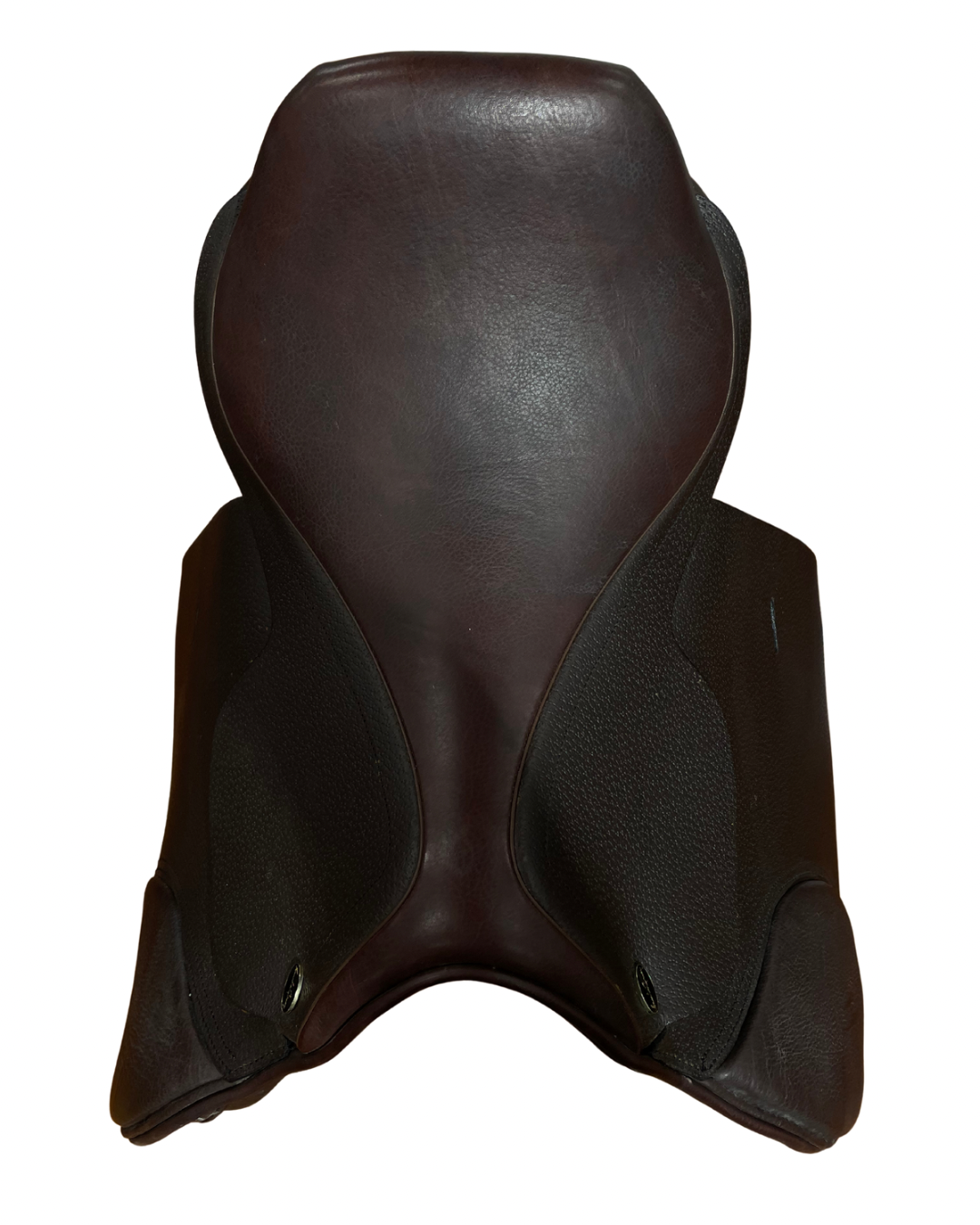 SANTA CRUZ CELINE