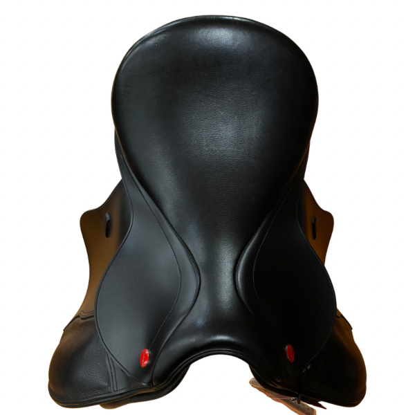 15.5” WHITAKER PONY DRESSAGE