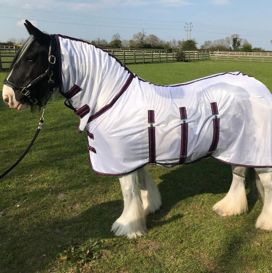 HS#0107 Buxton 5.9" Combo Fly Rug