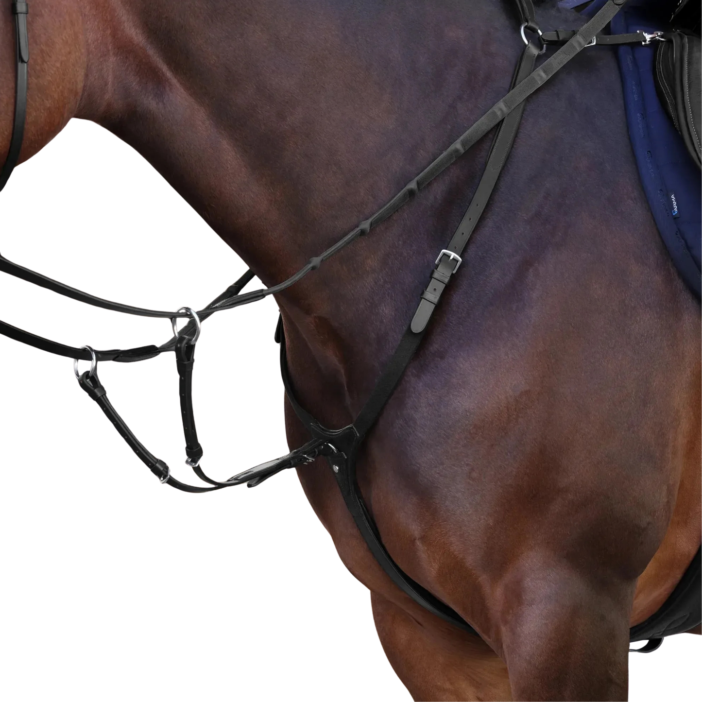 Shires Velociti LUSSO Elite Breastplate