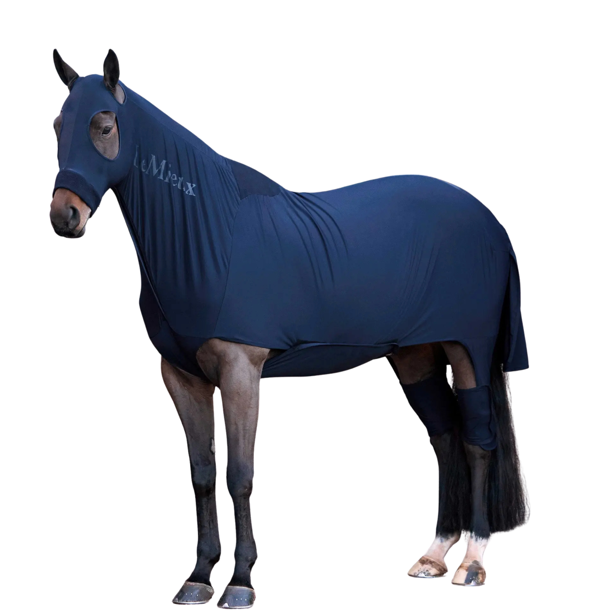 LeMieux Stretch Show Rug