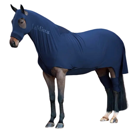 LeMieux Stretch Show Rug