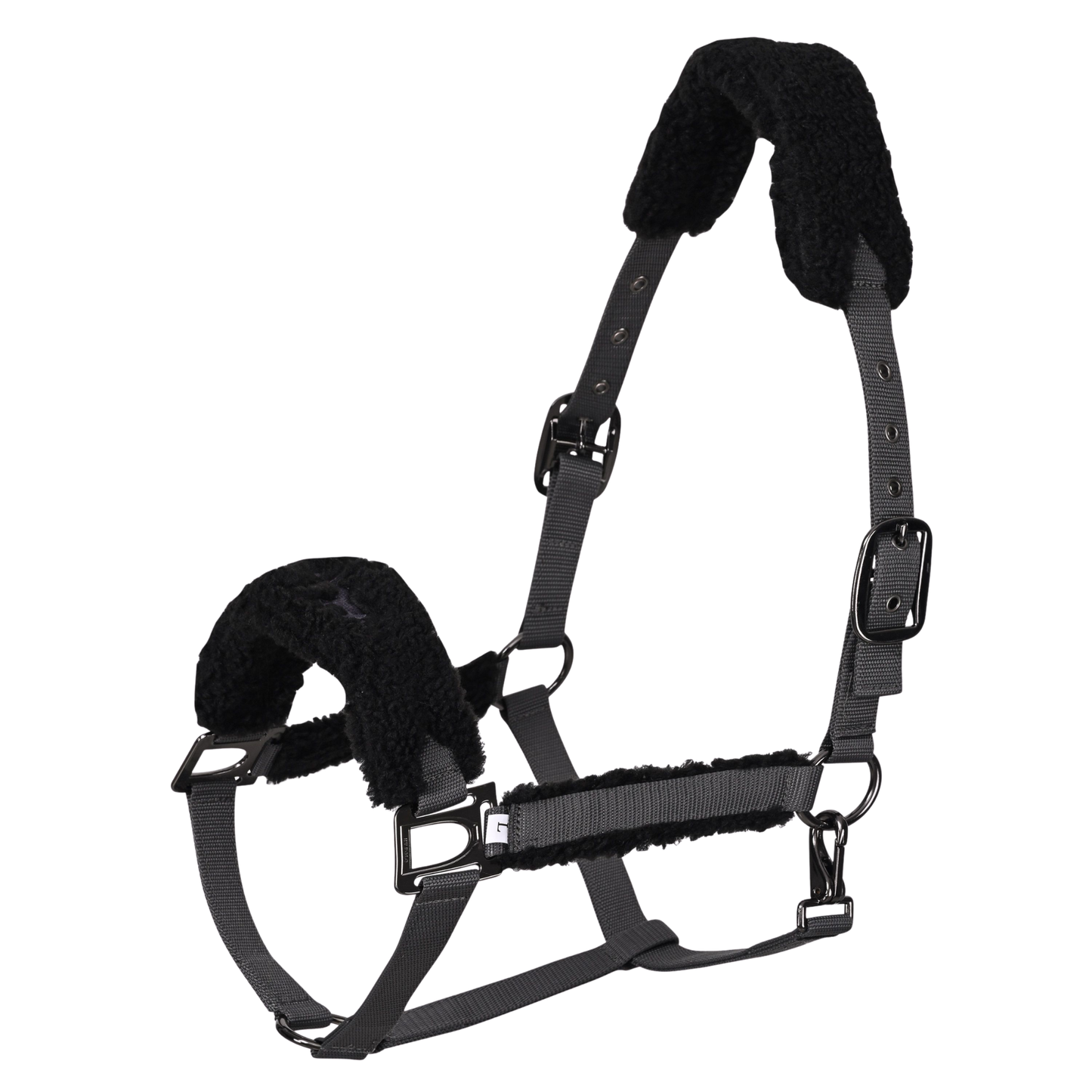 HV Polo Headcollar HVPTeddy