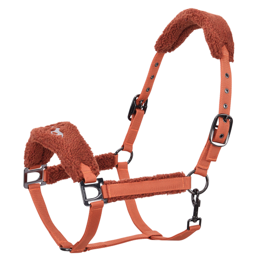 HV Polo Headcollar HVPTeddy