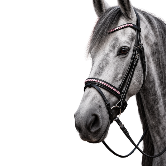 Florence Bridle With Reins