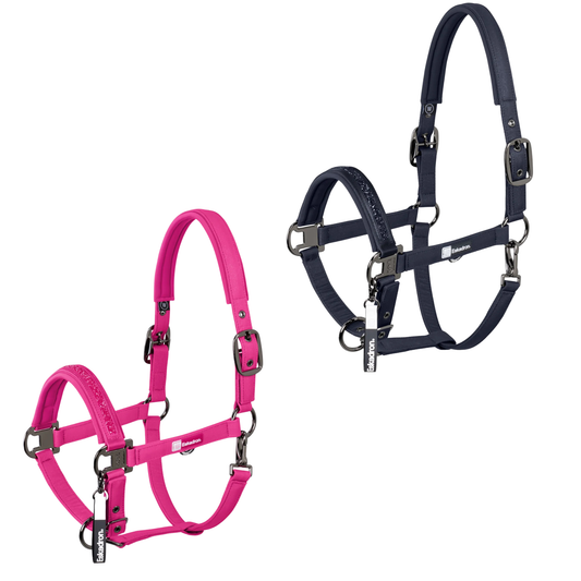 Eskadron Dynamic Sparkle Double Pin Headcollar