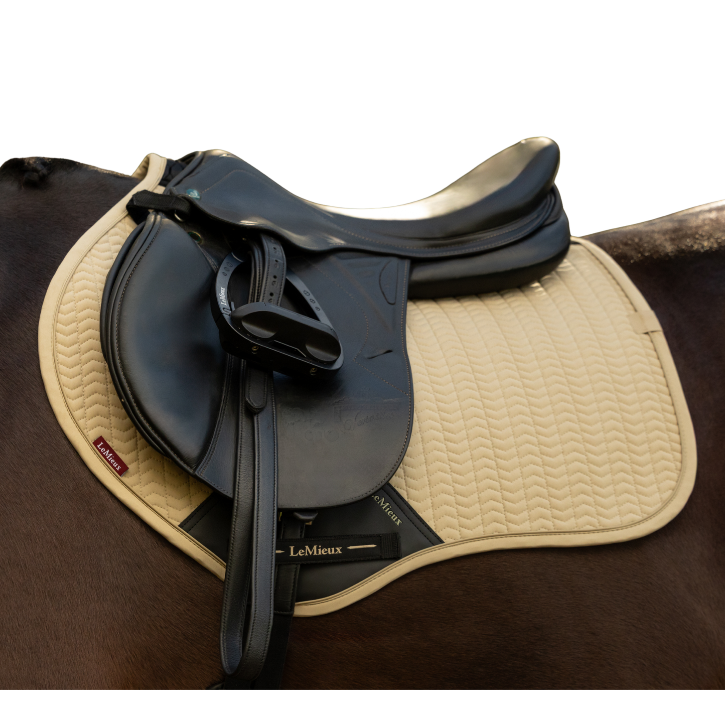 LeMieux Essence Close Contact Square