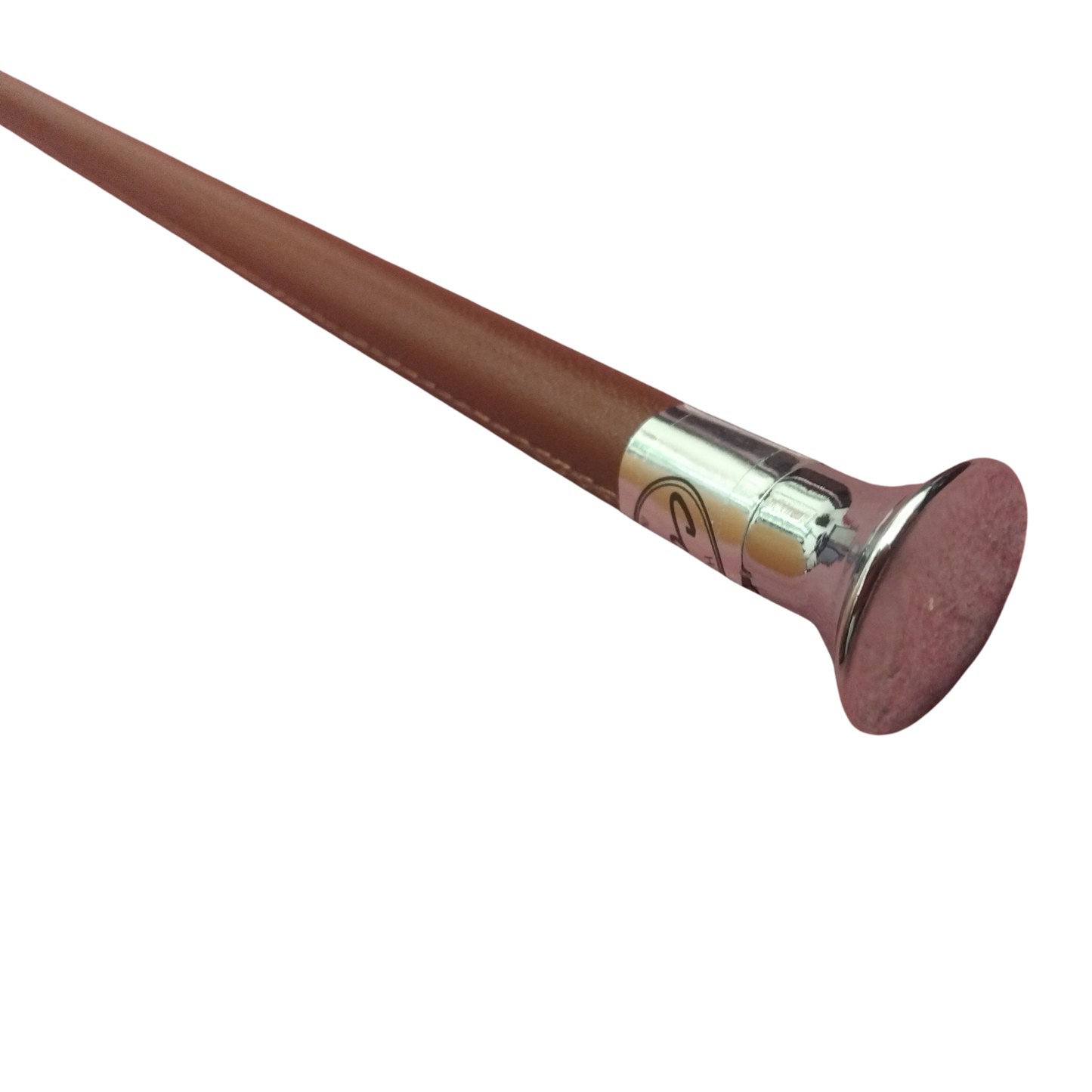 24" Showing Cane