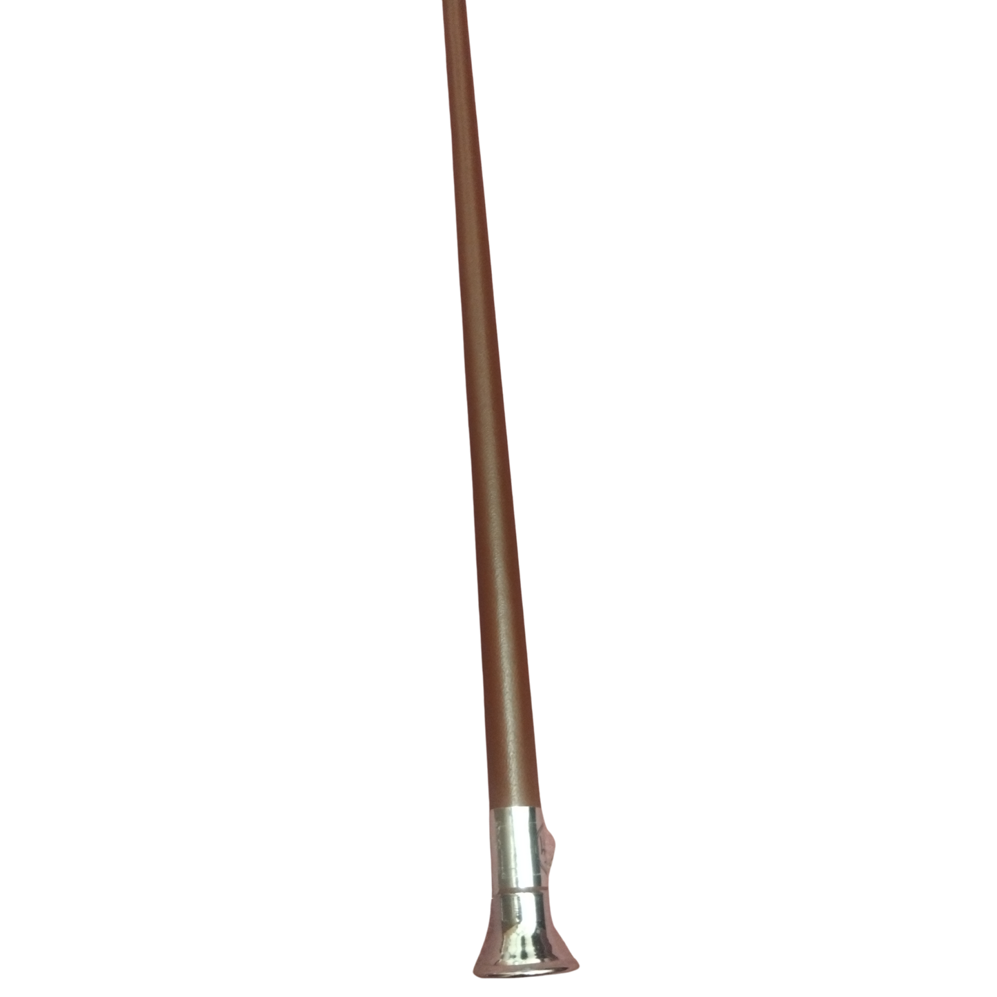 24" Showing Cane