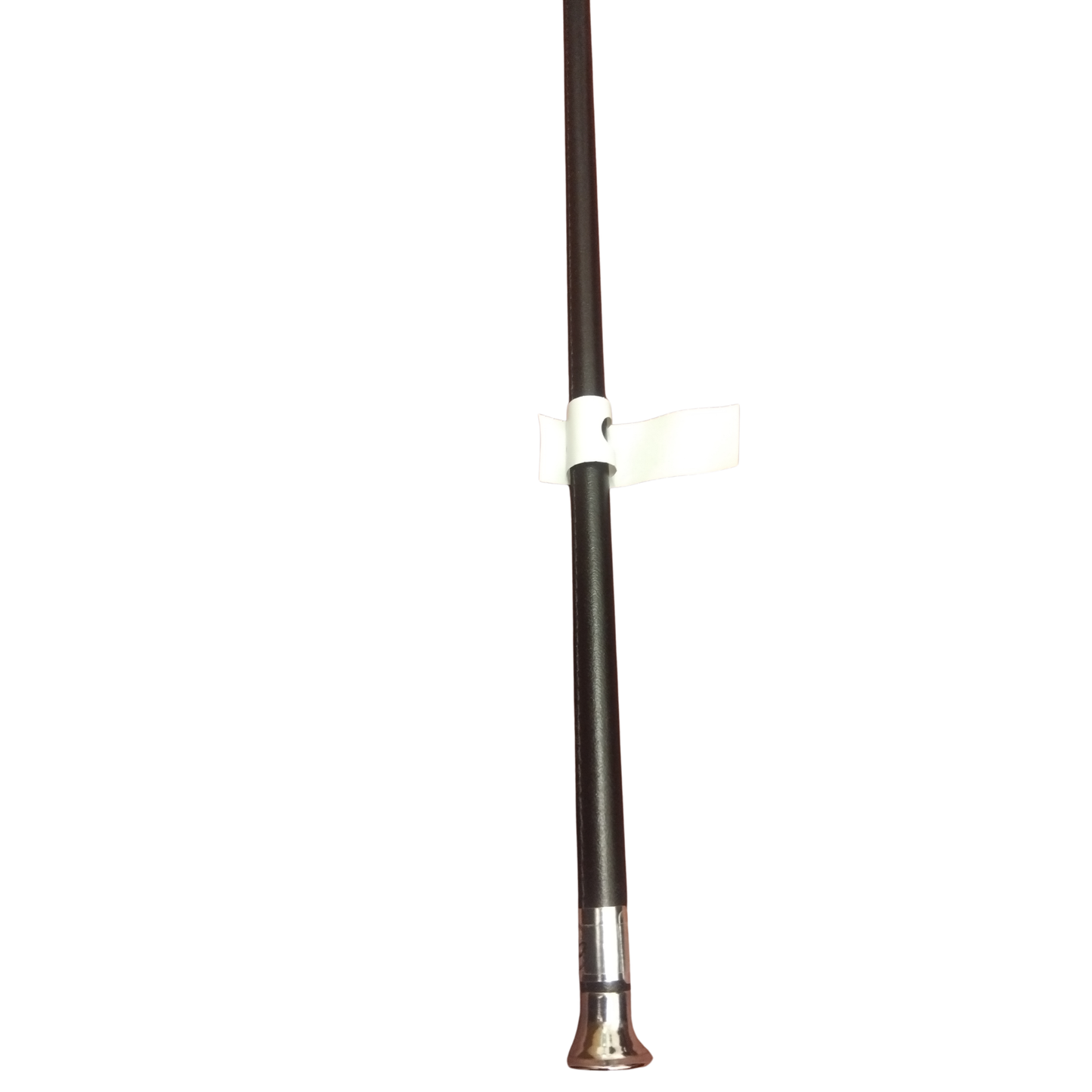24" Showing Cane