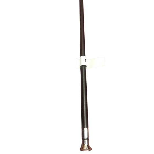 24" Showing Cane