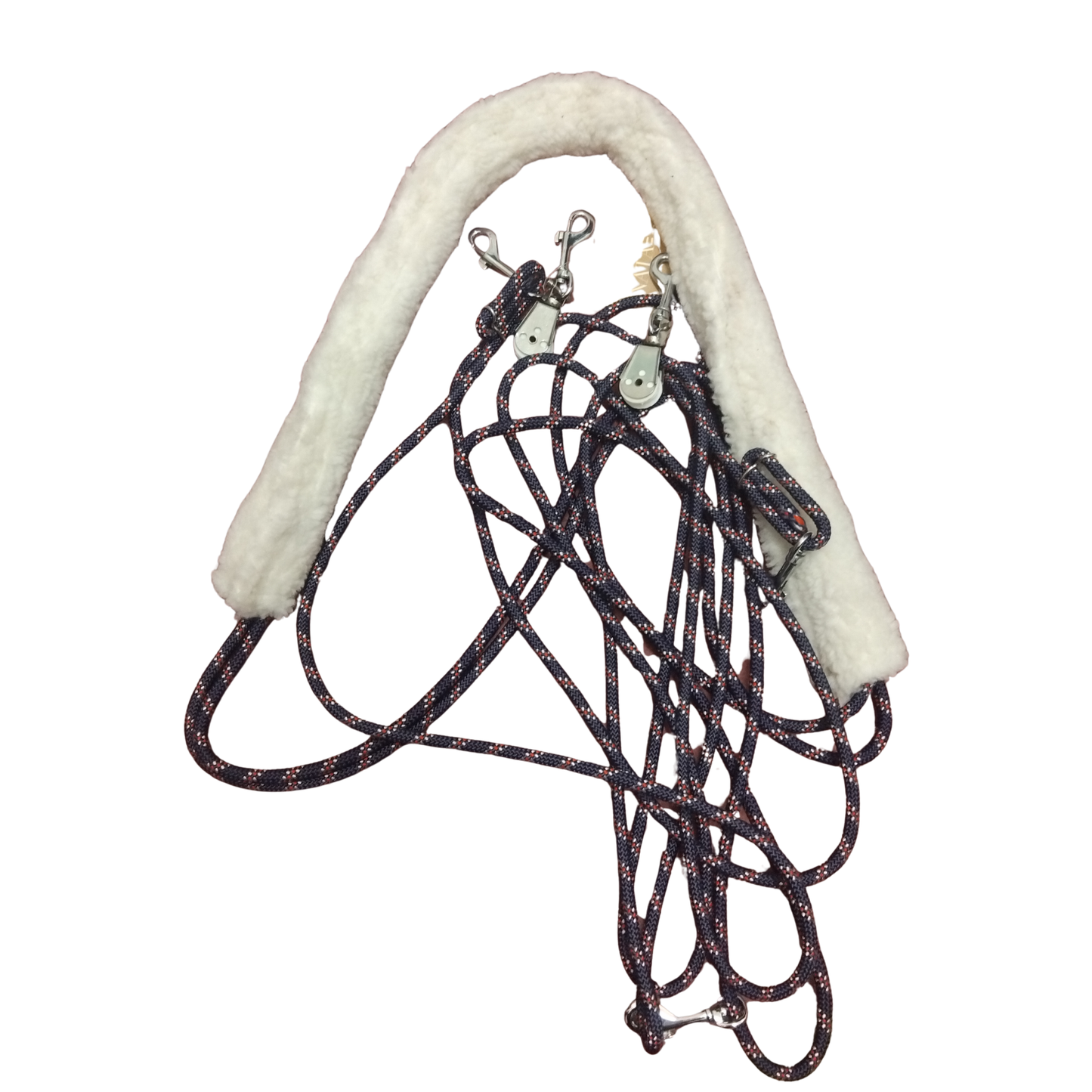 Stationata  Lunging Training Aid