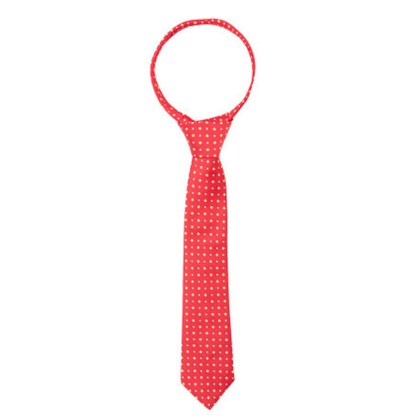 Supreme Products Show Tie