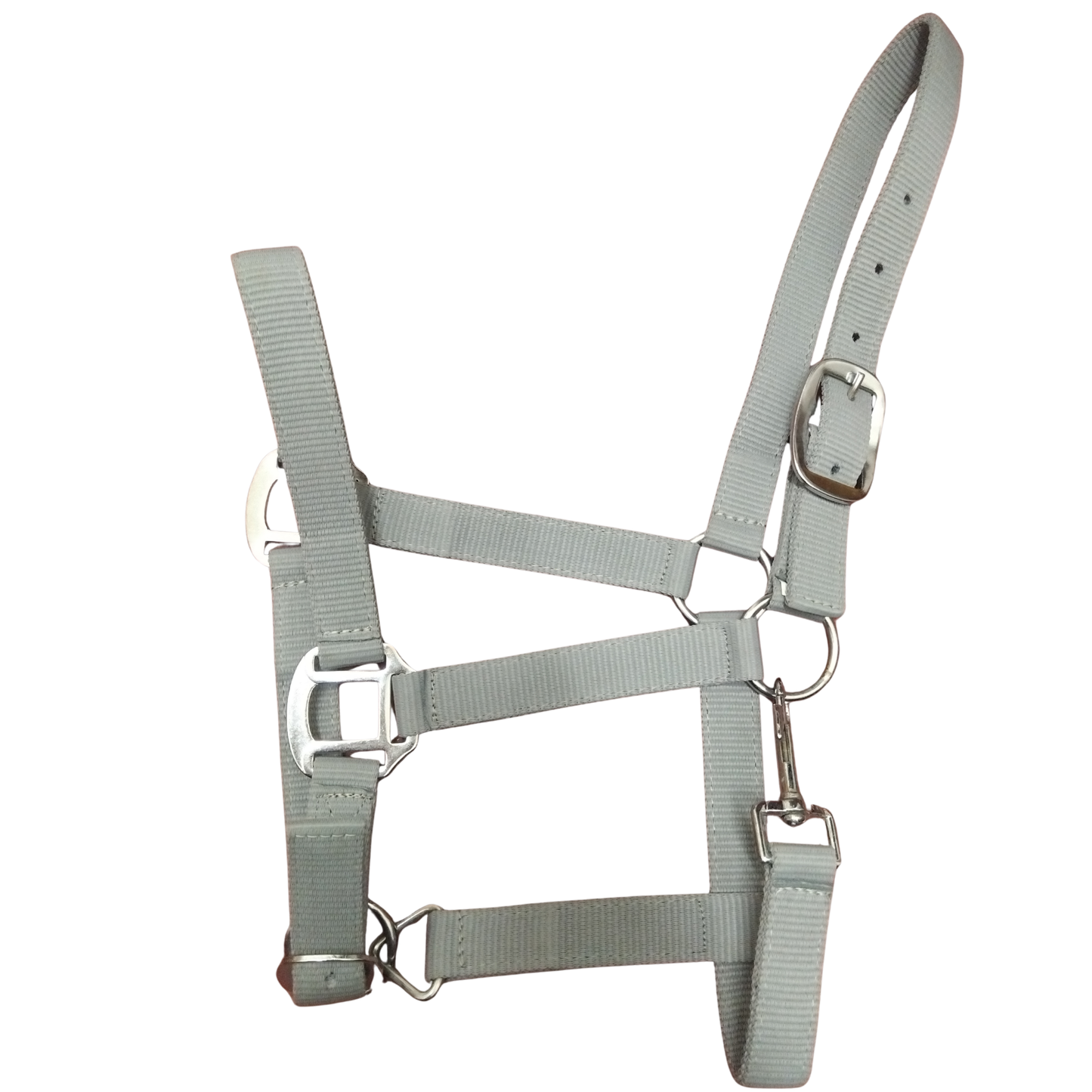 Holmestead Headcollar