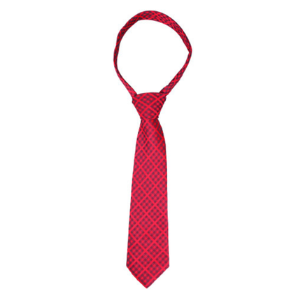 Supreme Products Show Tie