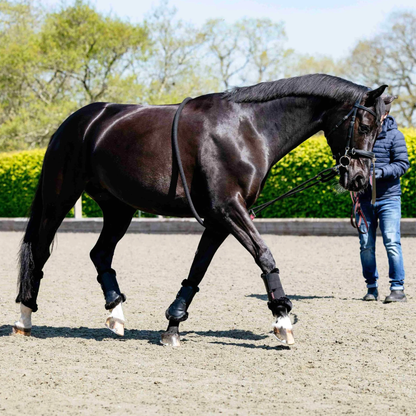 LeMieux Lunging Aid Rope - Black
