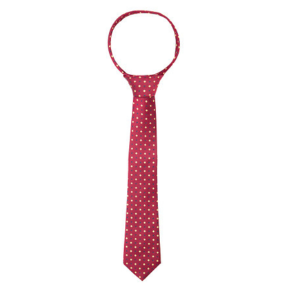 Supreme Products Show Tie