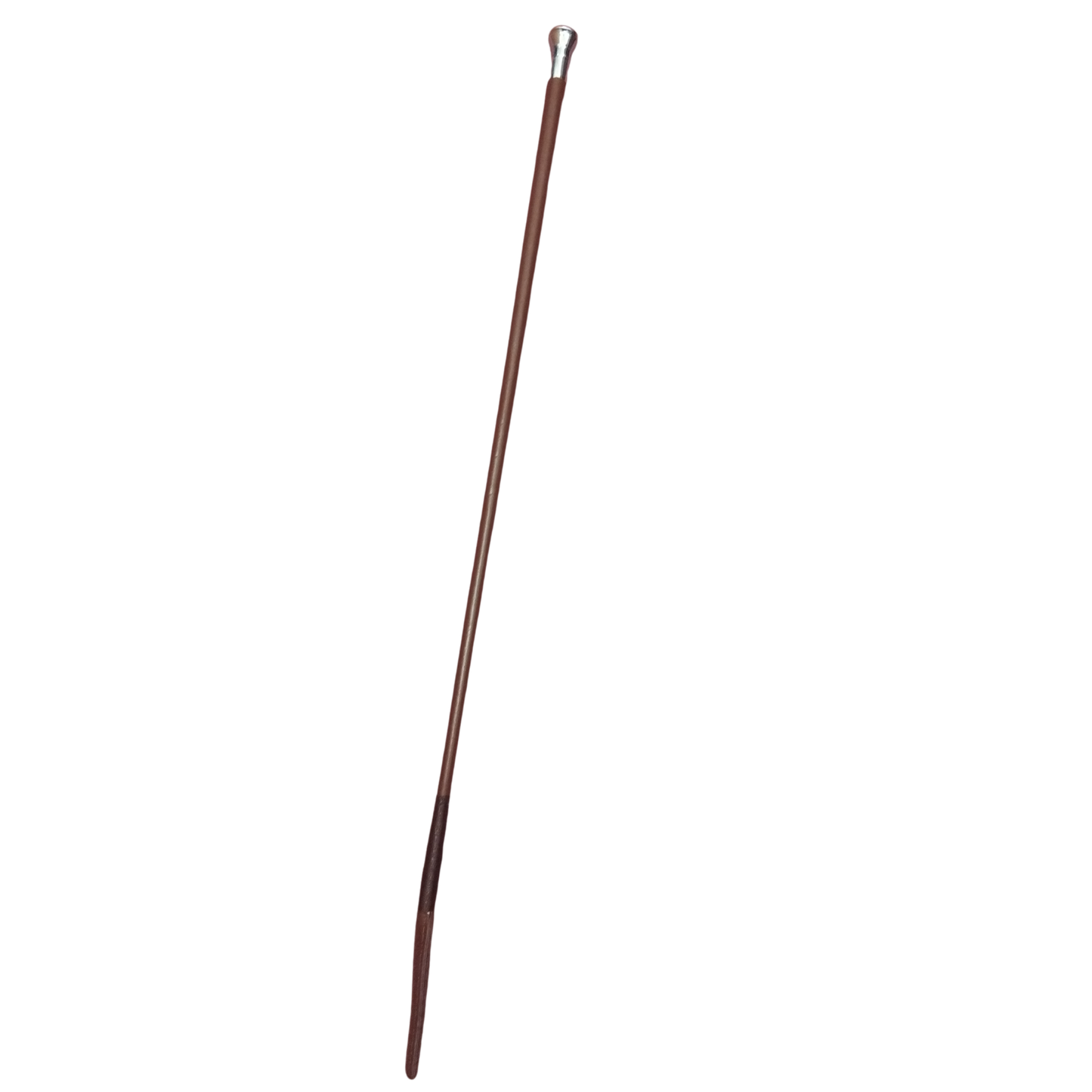 24" Showing Cane