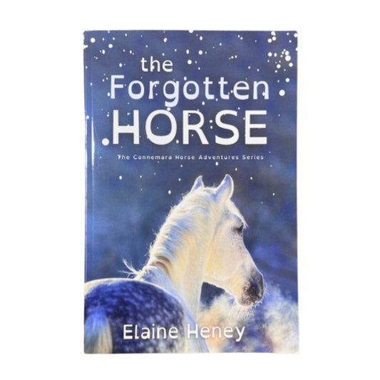 The Forgotten Horse Book By Elaine Heney (Dyslexia Friendly)