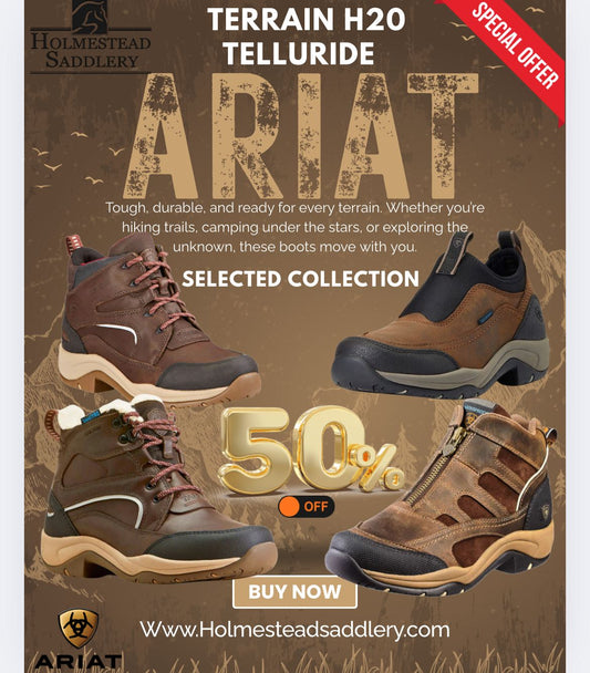 Ariat Telluride Zip H2O Boots Men's