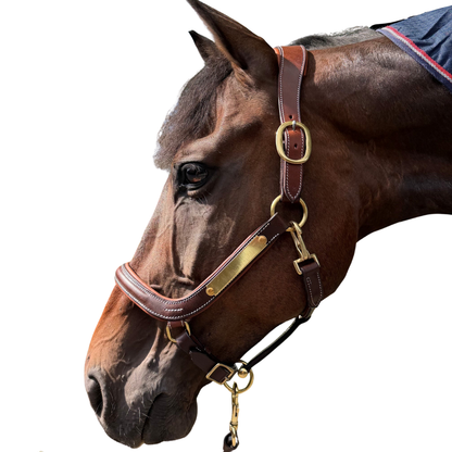 St Moritz Contour Headcollar