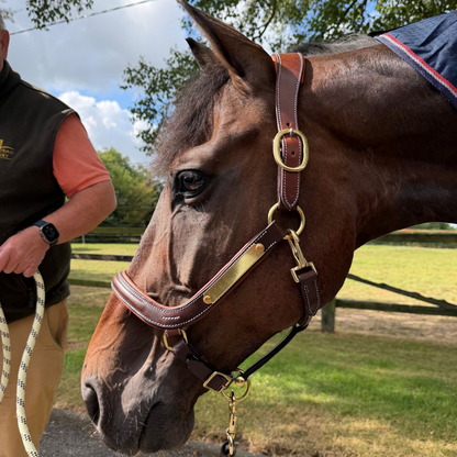 St Moritz Contour Headcollar