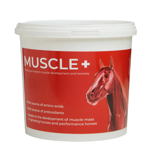 Equine Products Ireland Muscle +  1.5kg