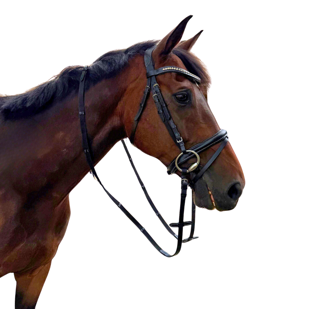 Grace Bridle with reins
