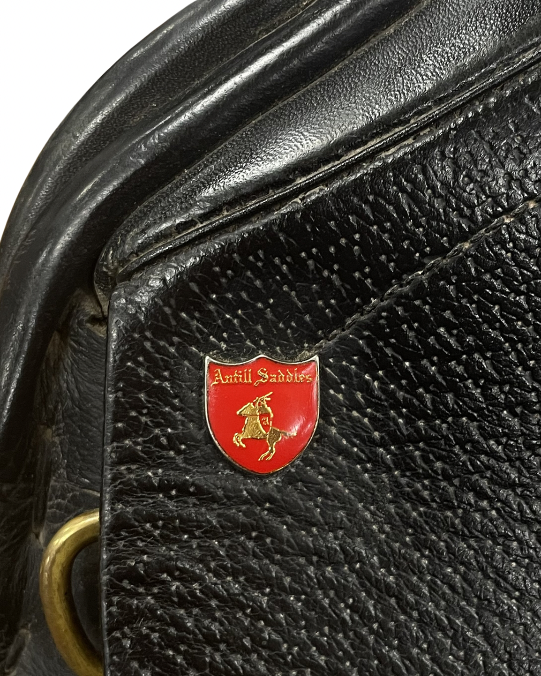 16” ANTILL DRESSAGE