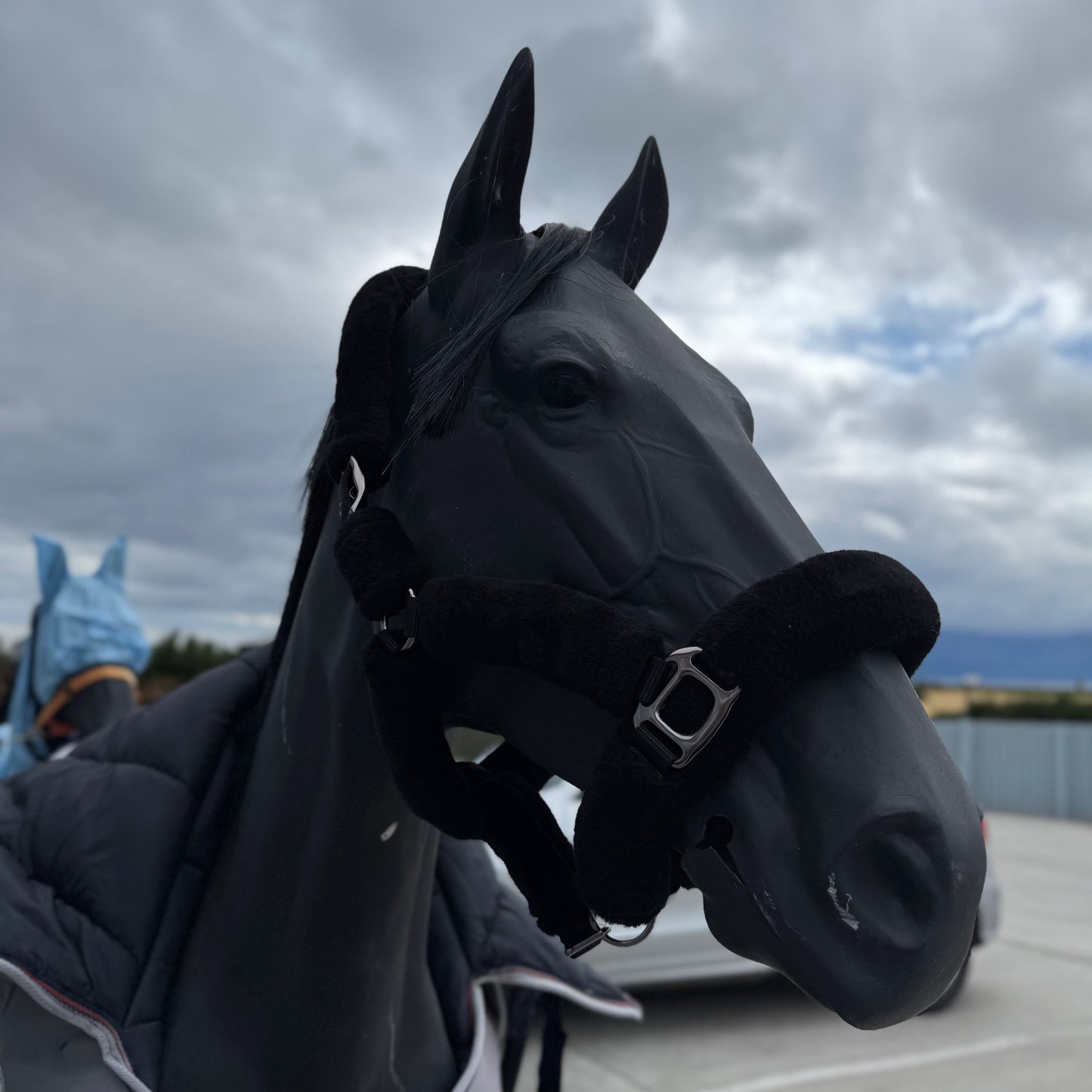 Holmestead Luxury Faux Sheepskin Headcollar