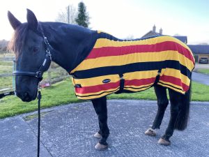 HS#0137 6'3 Holmestead Newmarket Fleece