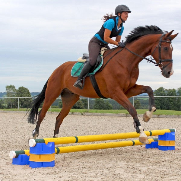 Holmestead Pole Holder